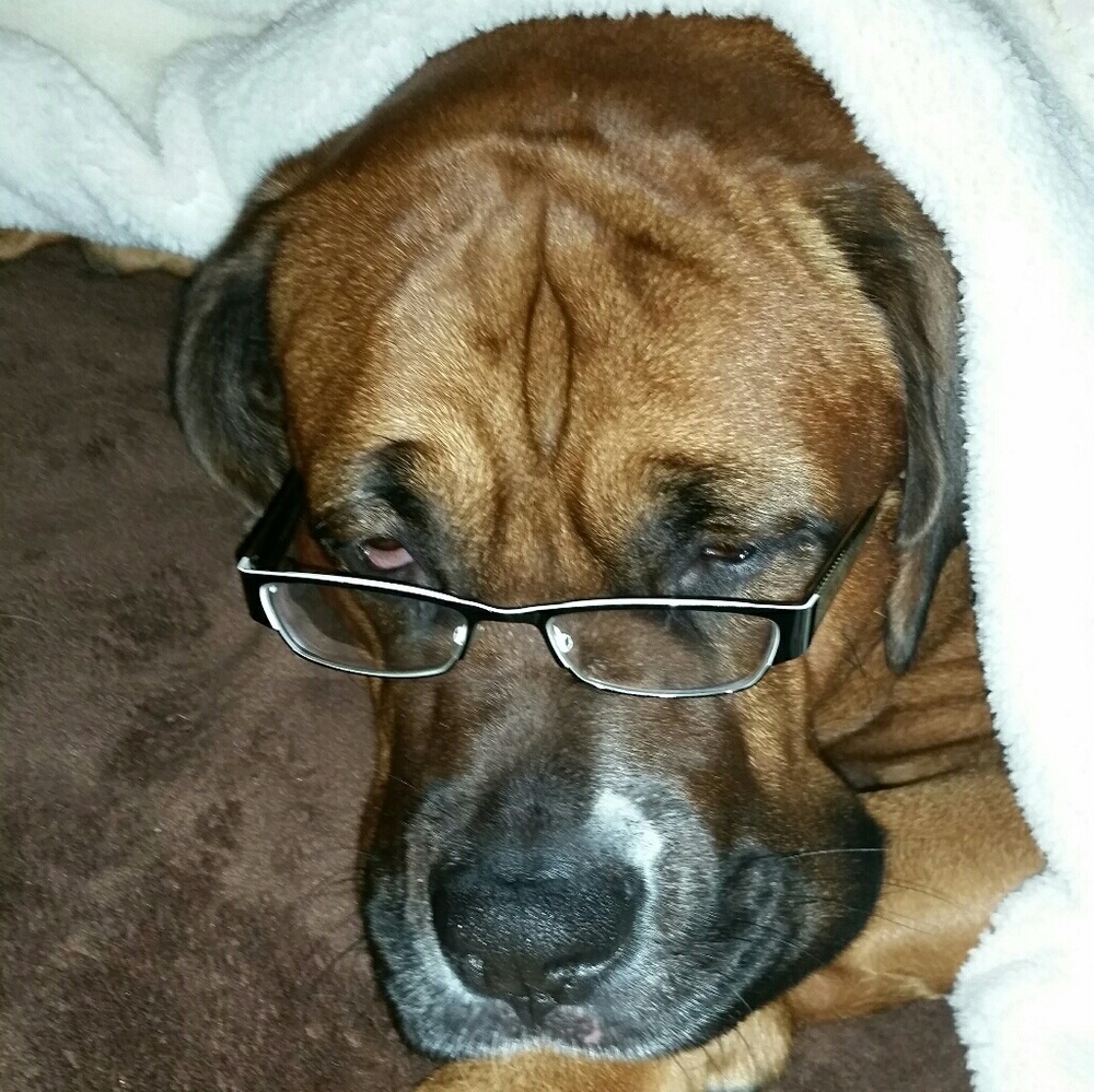 Chrissy V Poshmark Ambassador